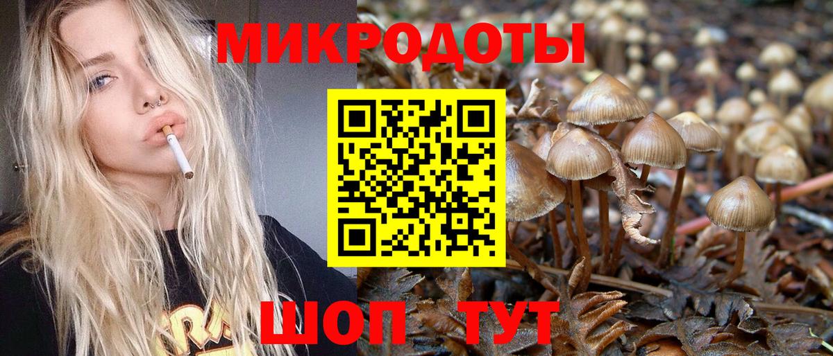 Псилоцибиновые грибы мицелий Йошкар-Ола
